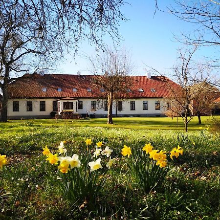 Bed and Breakfast Folwark Goscino-Dwor Esterno foto