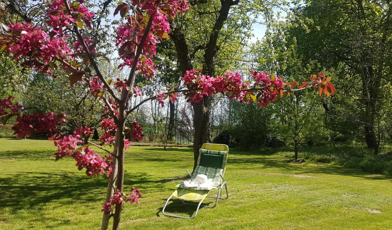 Bed and Breakfast Folwark Goscino-Dwor Esterno foto