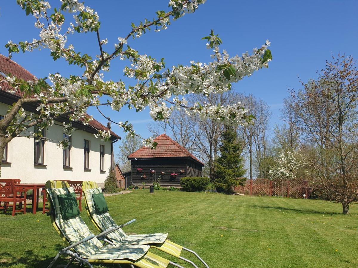 Bed and Breakfast Folwark Goscino-Dwor Esterno foto